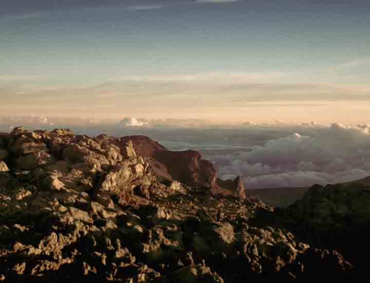 秋思短信轰炸平台